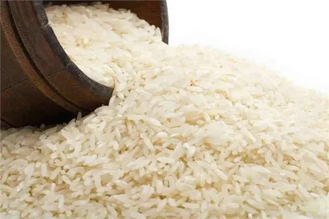 تصویر 4 از خرید و قیمت برنج عنبر بو دیلمی + فروش عمده